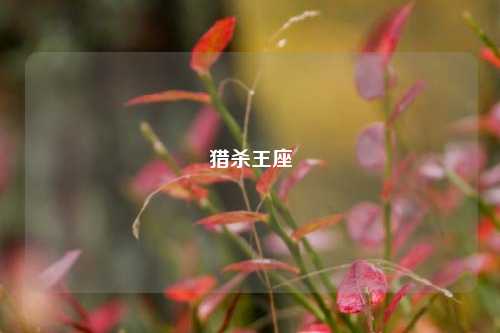 猎杀王座