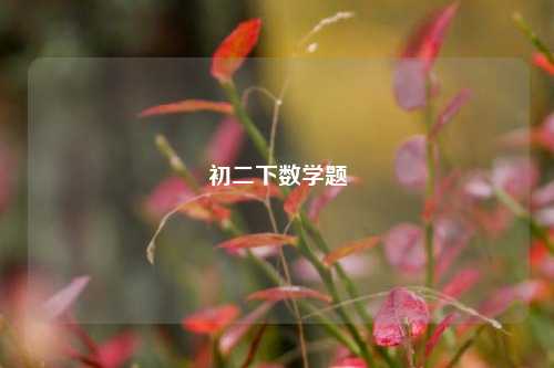初二下数学题