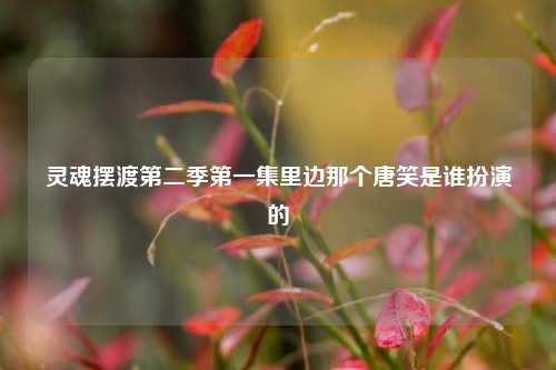 灵魂摆渡第二季第一集里边那个唐笑是谁扮演的