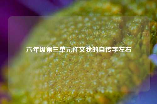 六年级第三单元作文我的自传字左右