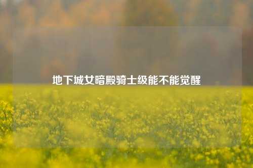 地下城女暗殿骑士级能不能觉醒