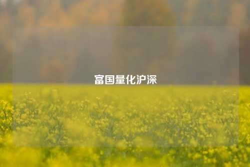 富国量化沪深