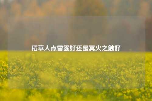 稻草人点雷霆好还是冥火之触好