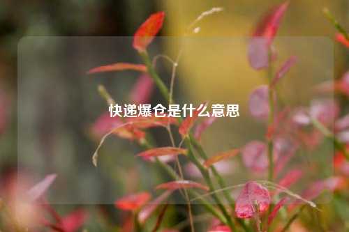 快递爆仓是什么意思