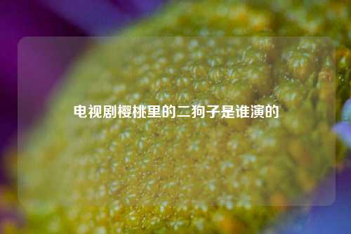 电视剧樱桃里的二狗子是谁演的