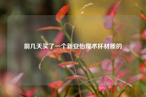 前几天买了一个新安怡魔术杯材质的