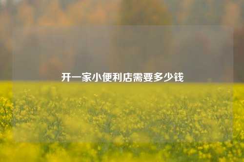 开一家小便利店需要多少钱