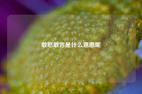 敢怒敢言是什么意思呢