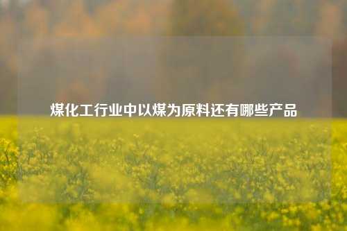 煤化工行业中以煤为原料还有哪些产品