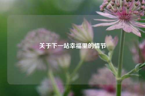 关于下一站幸福里的情节