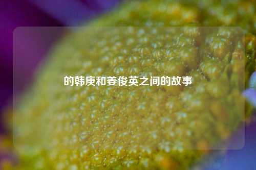 的韩庚和姜俊英之间的故事