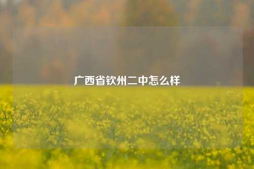 广西省钦州二中怎么样
