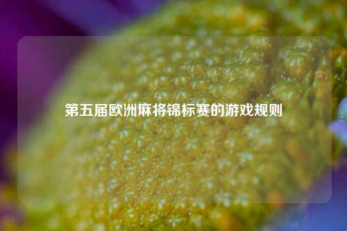 第五届欧洲麻将锦标赛的游戏规则