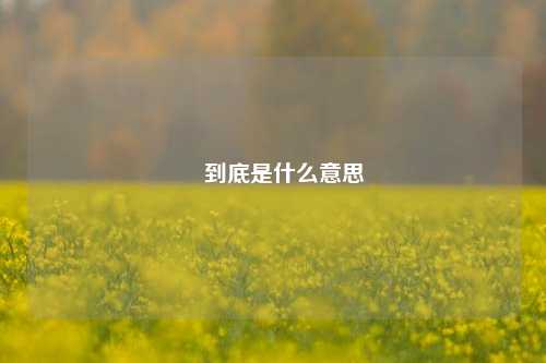 屌到底是什么意思