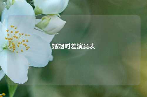 婚姻时差演员表