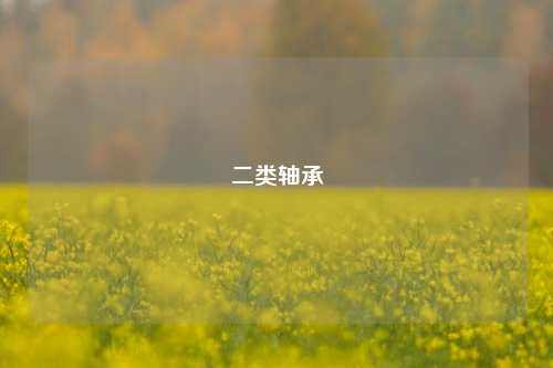 二类轴承