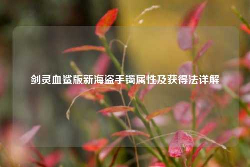 剑灵血鲨版新海盗手镯属性及获得法详解