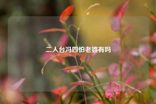 二人台冯四怕老婆有吗