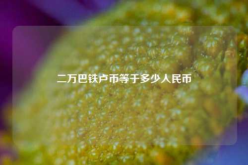 二万巴铁卢币等于多少人民币