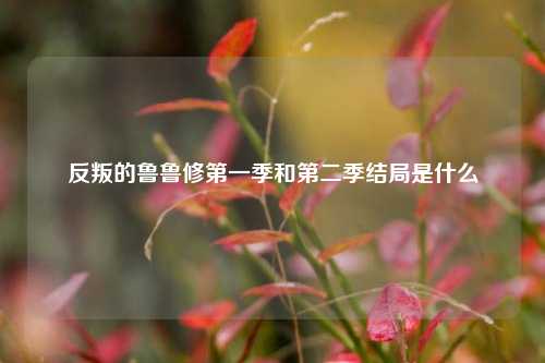 反叛的鲁鲁修第一季和第二季结局是什么