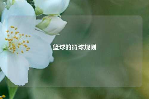 篮球的罚球规则