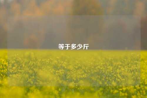 等于多少斤