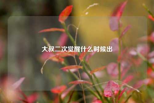 大叔二次觉醒什么时候出