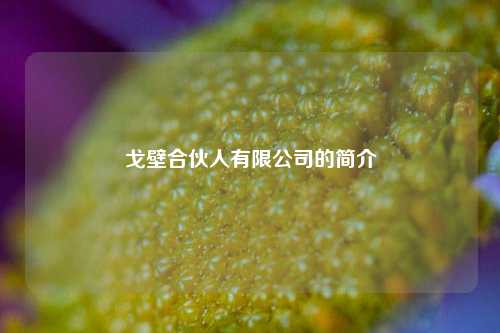戈壁合伙人有限公司的简介