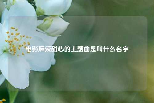 电影麻辣甜心的主题曲是叫什么名字