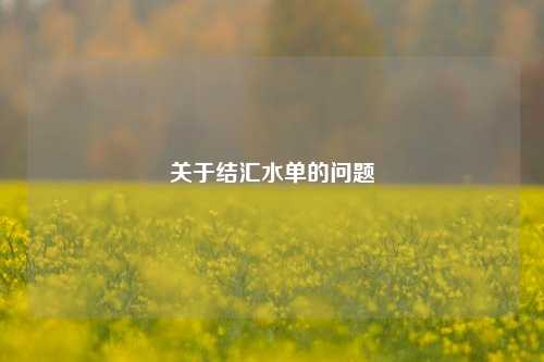 关于结汇水单的问题