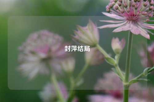 封萍结局