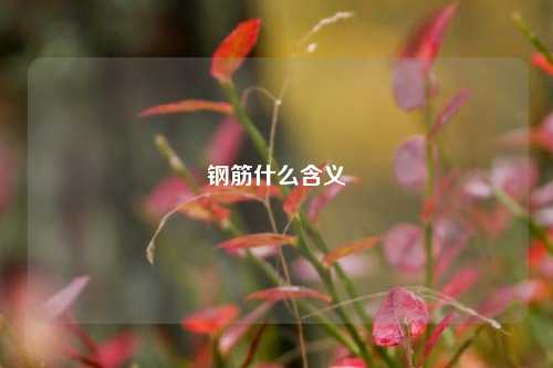 钢筋什么含义