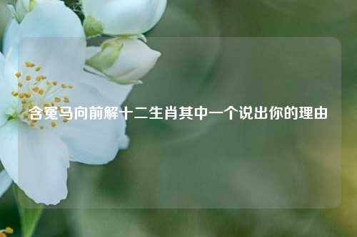 含冤马向前解十二生肖其中一个说出你的理由