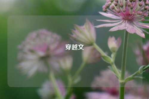 穿越文
