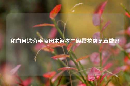 和白昌洙分手原因宋智孝三级霜花店是真做吗