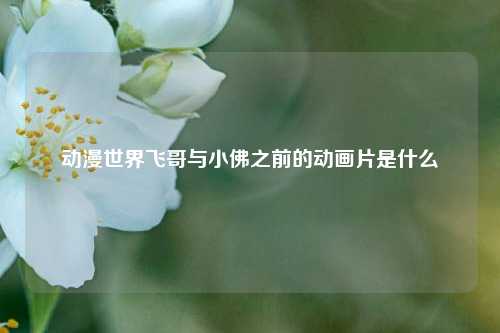 动漫世界飞哥与小佛之前的动画片是什么