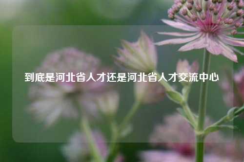 到底是河北省人才还是河北省人才交流中心