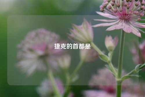 捷克的首都是