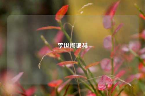 李世娜银赫