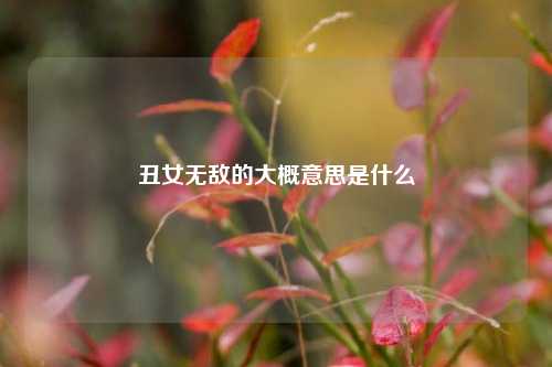 丑女无敌的大概意思是什么
