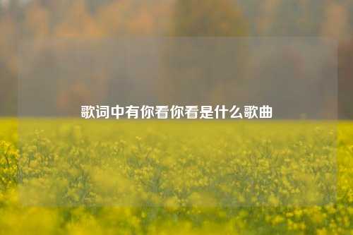 歌词中有你看你看是什么歌曲