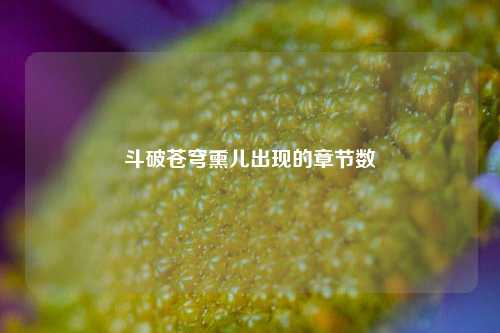 斗破苍穹熏儿出现的章节数