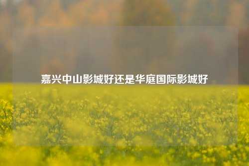 嘉兴中山影城好还是华庭国际影城好