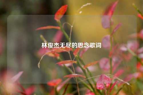 林俊杰无尽的思念歌词