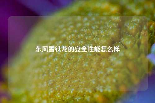 东风雪铁龙的安全性能怎么样