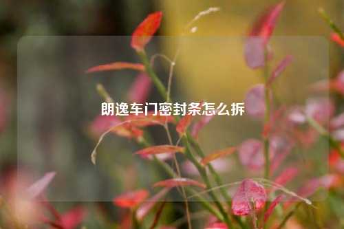 朗逸车门密封条怎么拆