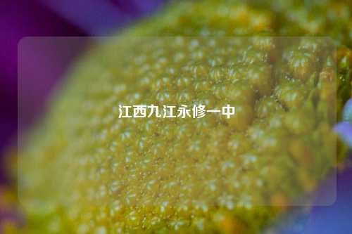 江西九江永修一中