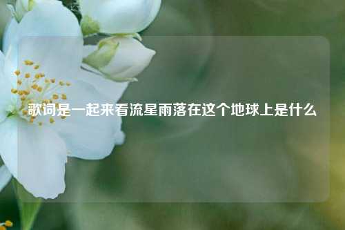歌词是一起来看流星雨落在这个地球上是什么