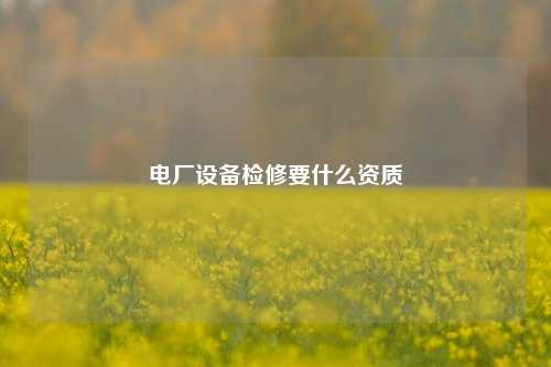 电厂设备检修要什么资质