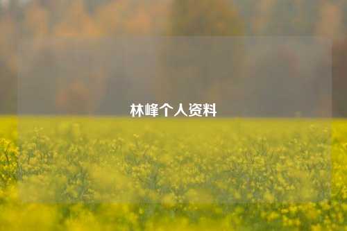 林峰个人资料
